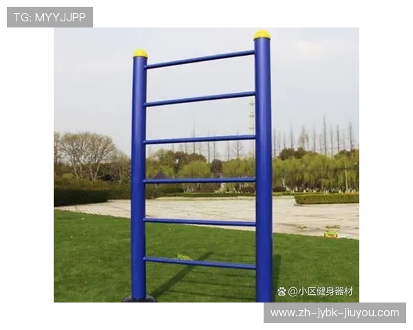 女性健身器材大全及针对性训练推荐